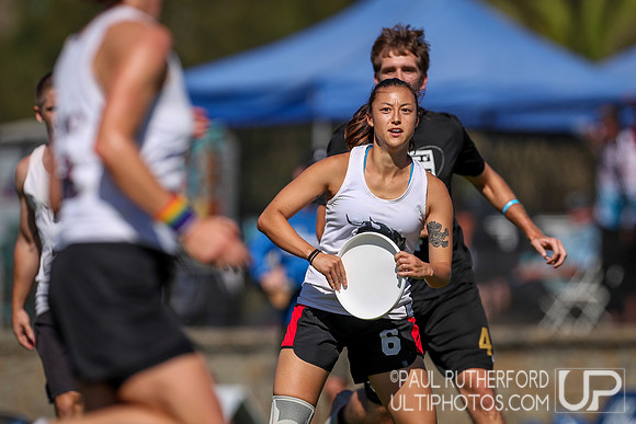 2019 USA Ultimate Club Championships