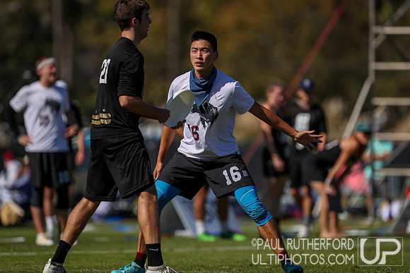 2019 USA Ultimate Club Championships