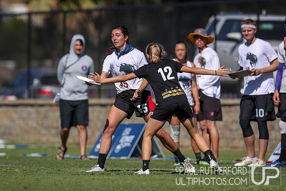 2019 USA Ultimate Club Championships