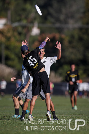 2019 USA Ultimate Club Championships