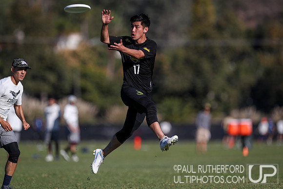 2019 USA Ultimate Club Championships