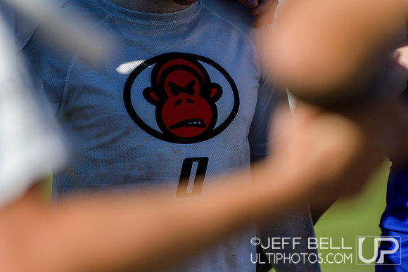 2019 USA Ultimate Club Championships