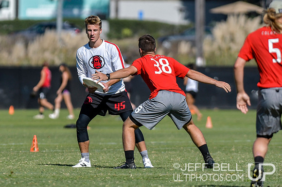 2019 USA Ultimate Club Championships