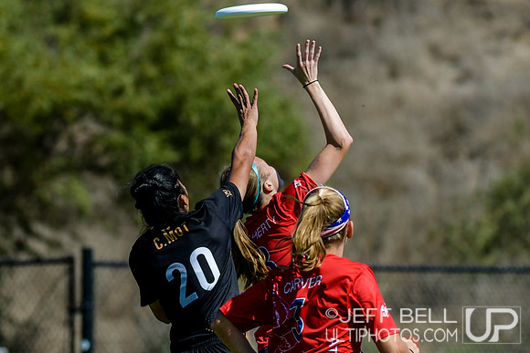 2019 USA Ultimate Club Championships