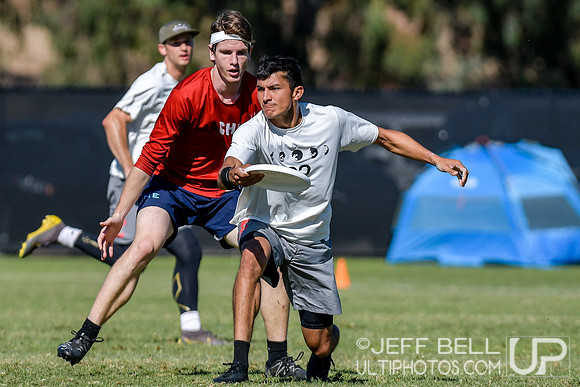 2019 USA Ultimate Club Championships
