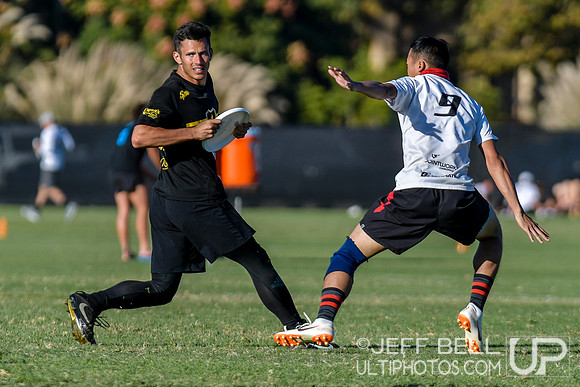 2019 USA Ultimate Club Championships