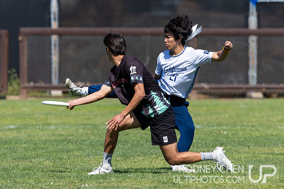 2025 USAU NorCal D1 Conference Championships