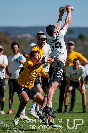 Open pool play at the USAU National Club Championships. October 24, 2019