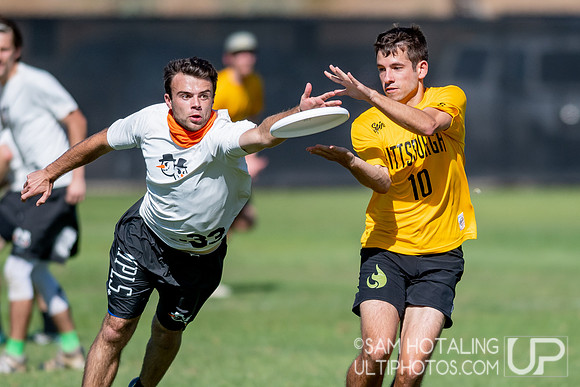 Open pool play at the USAU National Club Championships. October 24, 2019