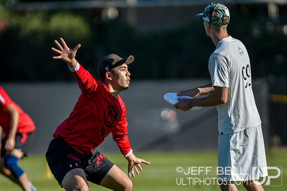 2019 USA Ultimate Club Championships