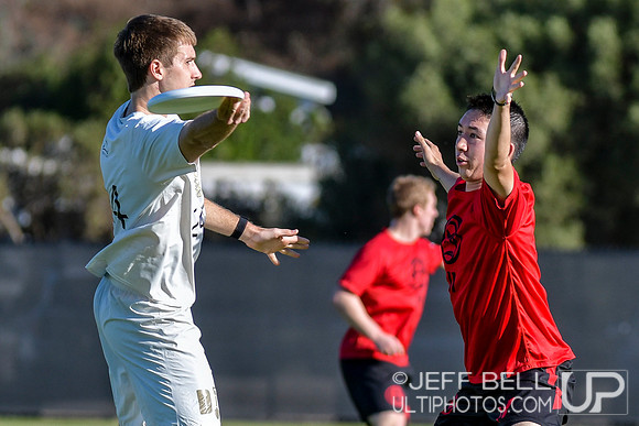 2019 USA Ultimate Club Championships