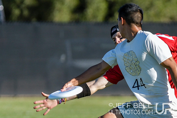 2019 USA Ultimate Club Championships