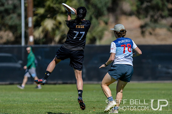 2019 USA Ultimate Club Championships