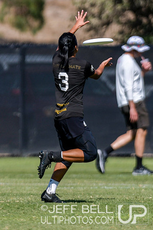 2019 USA Ultimate Club Championships