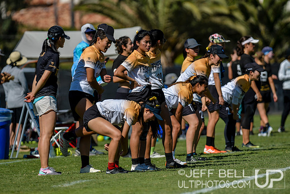 2019 USA Ultimate Club Championships