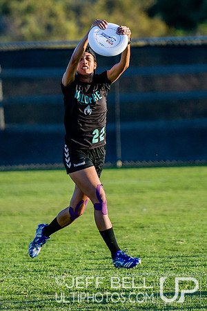 2019 USA Ultimate Club Championships
