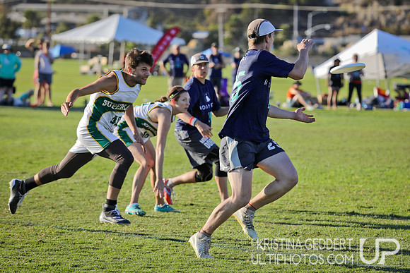 2019 USA Ultimate Club Championships