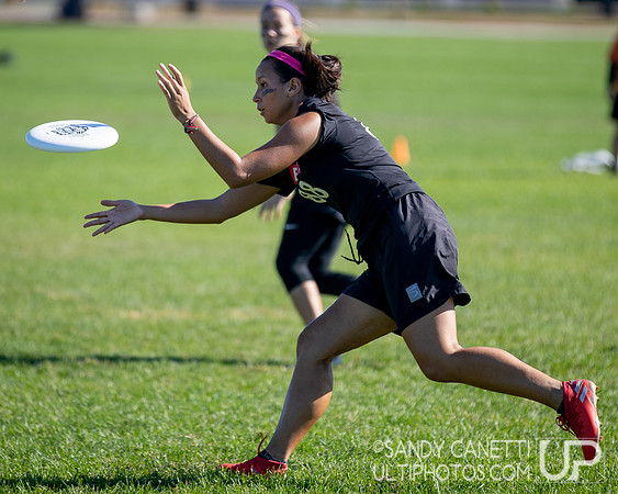 Northeast Regionals 2019 - Sunday