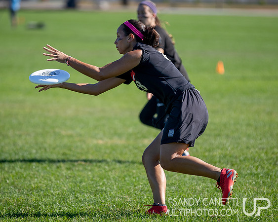Northeast Regionals 2019 - Sunday
