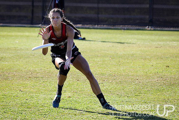 2019 USA Ultimate Club Championships