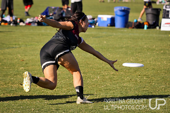 2019 USA Ultimate Club Championships