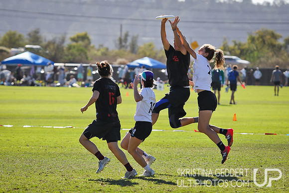 2019 USA Ultimate Club Championships