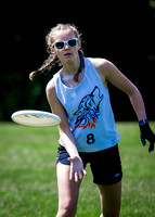 Illinois High School State Championship