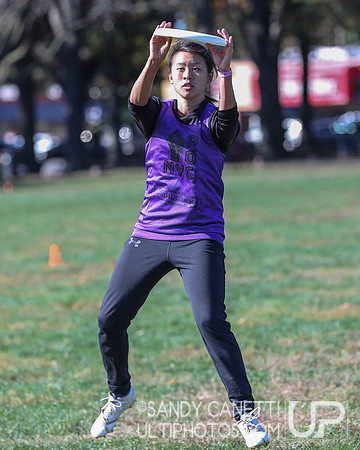 NYC POC Hat Tournament