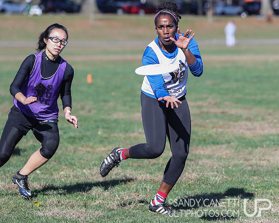 NYC POC Hat Tournament