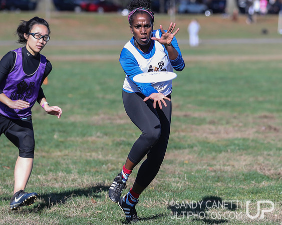 NYC POC Hat Tournament