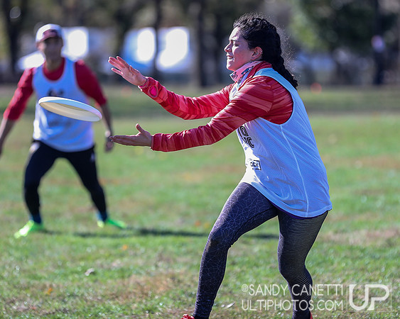 NYC POC Hat Tournament