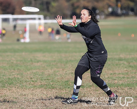 NYC POC Hat Tournament