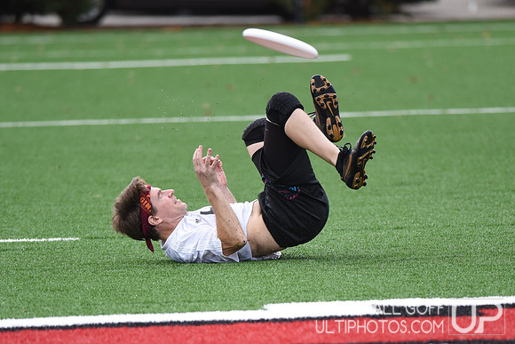 Harvard 40th Ultimate Reunion