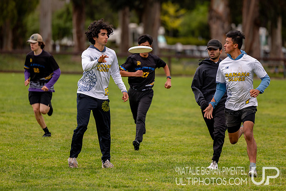 NorCal D-I College Sectionals