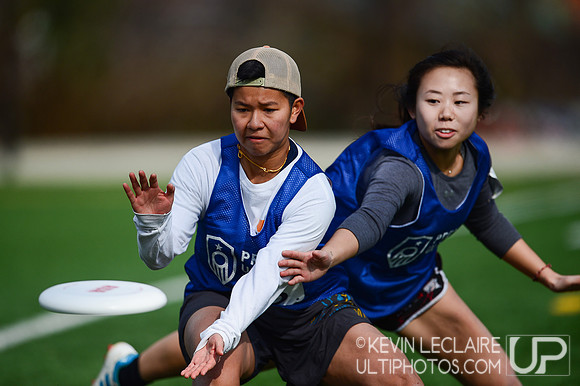DC Shadow 2020 Open Tryouts