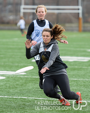 DC Shadow 2020 Open Tryouts