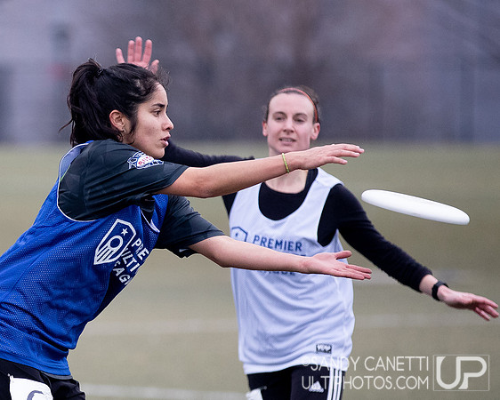 New York Gridlock Tryouts 2-1-20