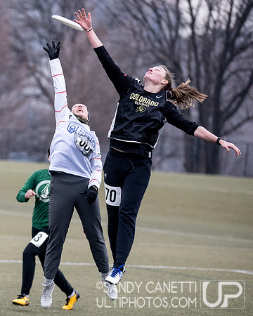 New York Gridlock Tryouts 2-1-20