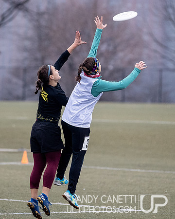 New York Gridlock Tryouts 2-1-20