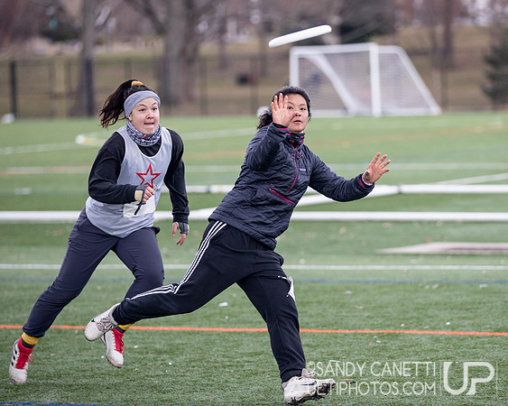 New York Gridlock Tryouts 2-2-20