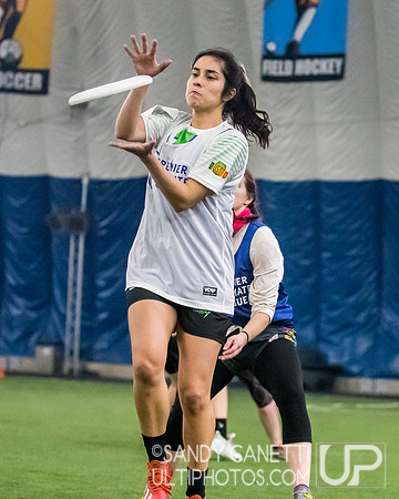 New York Gridlock Tryouts 1-25-20