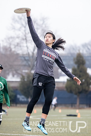 New York Gridlock Tryouts 2-1-20