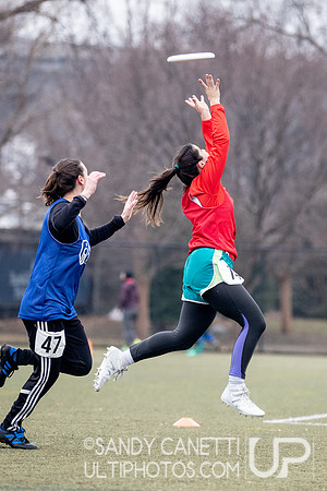 New York Gridlock Tryouts 2-1-20