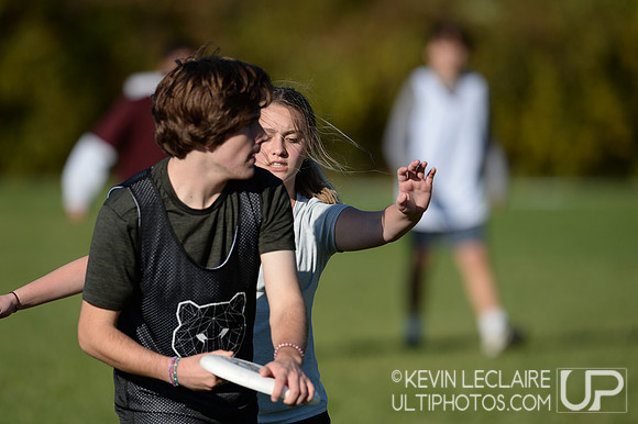 South Lakes Seahucks vs Lake Braddock Bruins - VA-DMV Mixed HS S