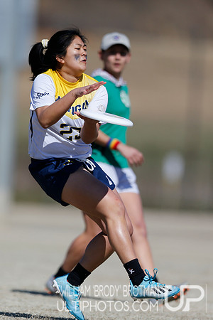 Day 1 of Commonwealth Cup.