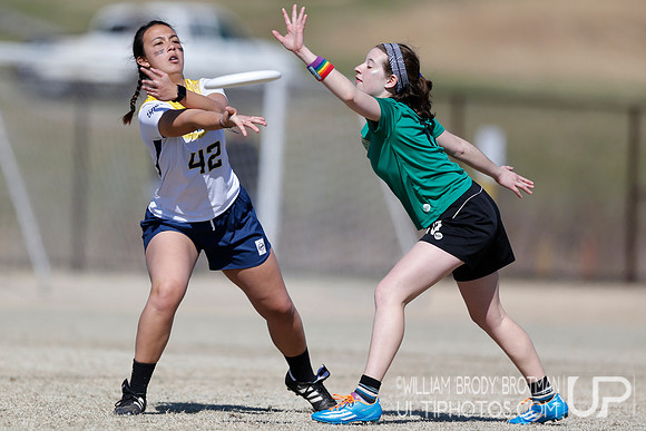 Day 1 of Commonwealth Cup.