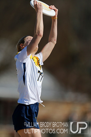 Day 1 of Commonwealth Cup.