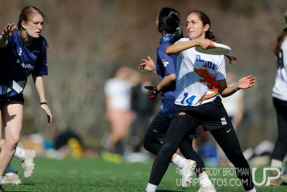 Day 1 of Commonwealth Cup.