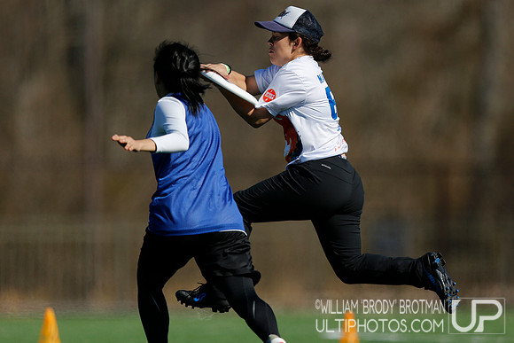 Day 1 of Commonwealth Cup.