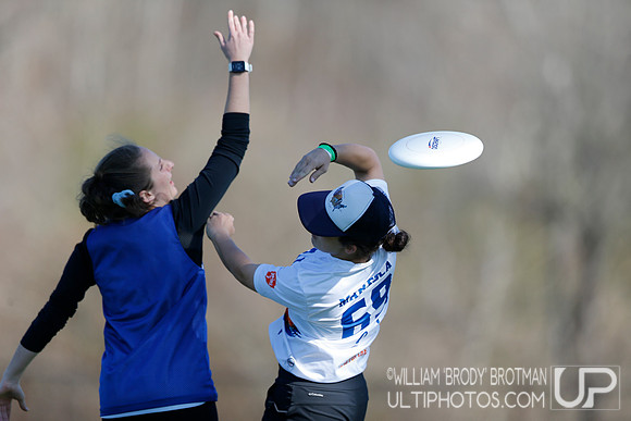 Day 1 of Commonwealth Cup.